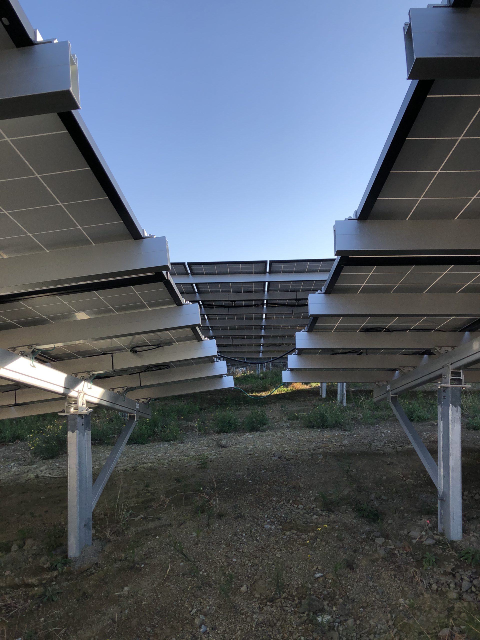 太陽光発電所にて